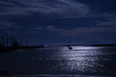 DSC_0797 (Large).JPG